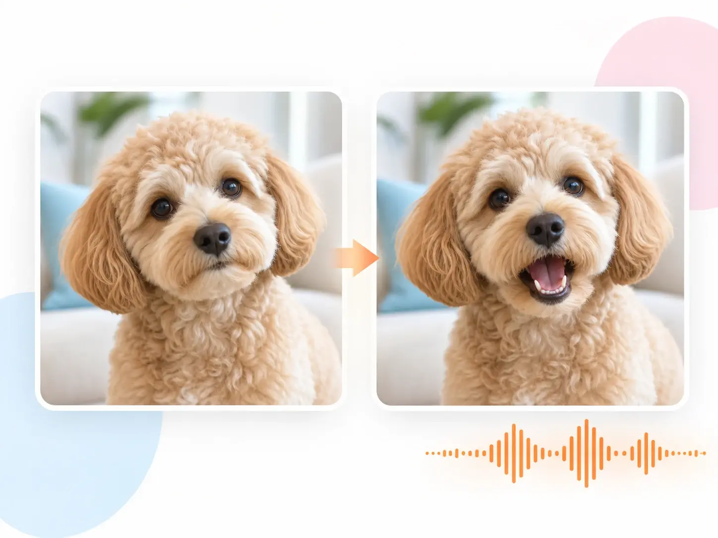 Pet photo animated into a talking narrator by the lip sync tool for a social story